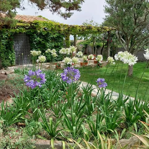 Successful Airbnb property: Monte Atena House with a sea view in Stintino