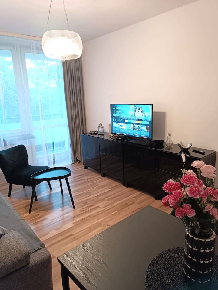 Romantica#old Town#smart Tv#fast Wifi - Warsaw