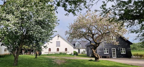 Successful Airbnb property: B & B Lærkehøj Mols Mountains in Region Midtjylland