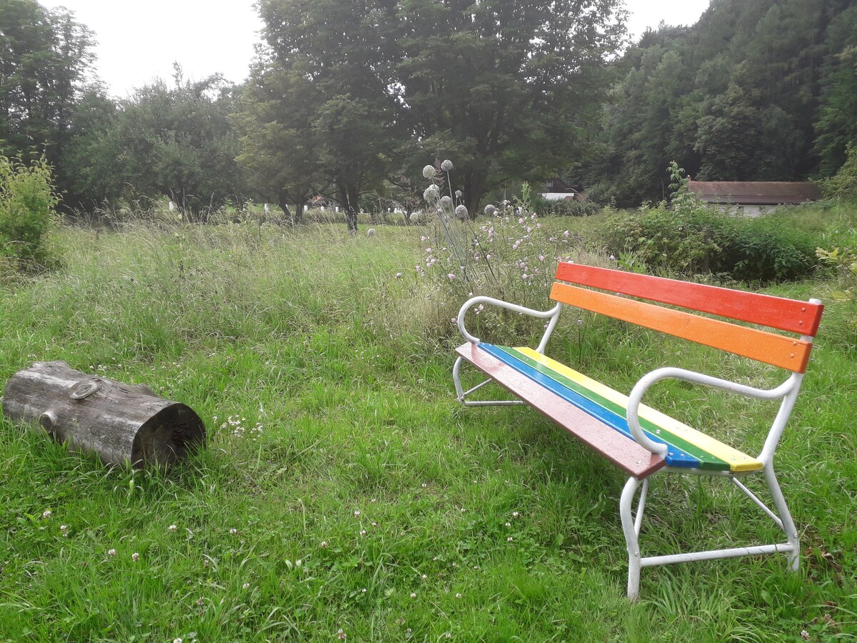 A colorful bench with rainbow-striped seating is positioned in a grassy area, surrounded by trees and wildflowers. A log is placed nearby, offering a natural look. This outdoor space provides a serene spot for relaxation amidst the greenery.