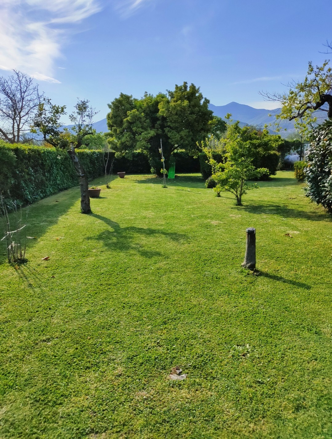 An expansive green garden is bathed in sunlight, featuring neatly trimmed grass and a variety of trees. Shadowed figures of the trees and distant mountains create a serene backdrop. Open spaces allow for relaxation or outdoor activities.