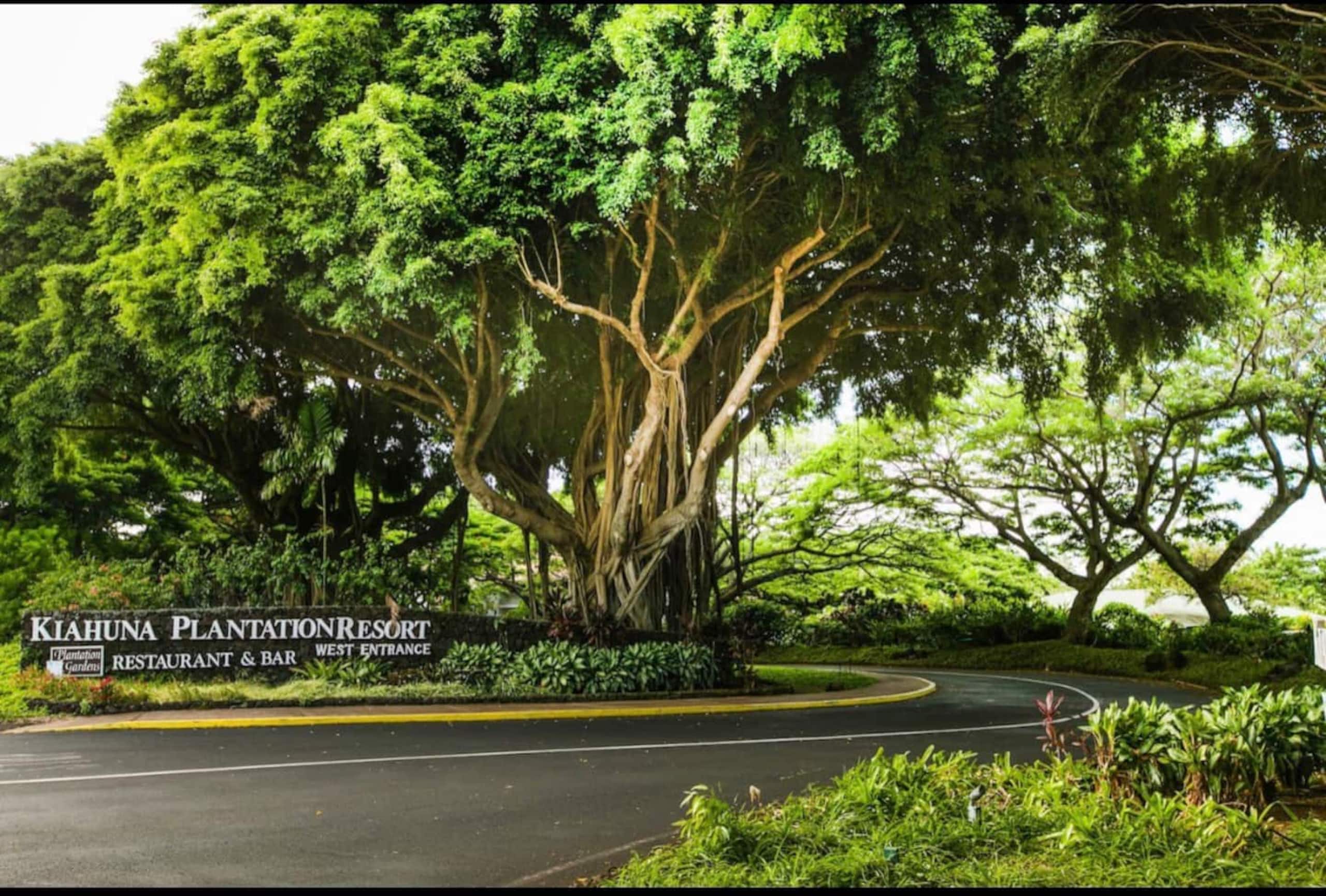 Condo in Koloa · ★4.53 · 1 bedroom · 1 bed · 1 bath - Image 22