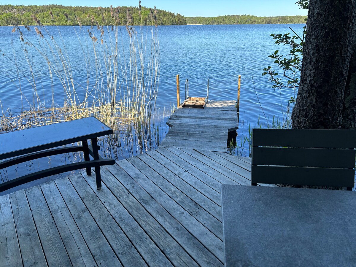 A wooden dock extends over calm lake waters, surrounded by reeds and greenery. Two benches are positioned on the deck, providing views of the serene landscape. The distant shoreline is visible, featuring a forested backdrop under a clear blue sky.