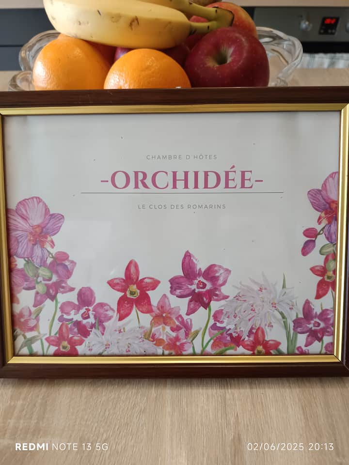 Le Clos Des Romarins
Chambre D'hôtes " Orchidée" - Montcuq
