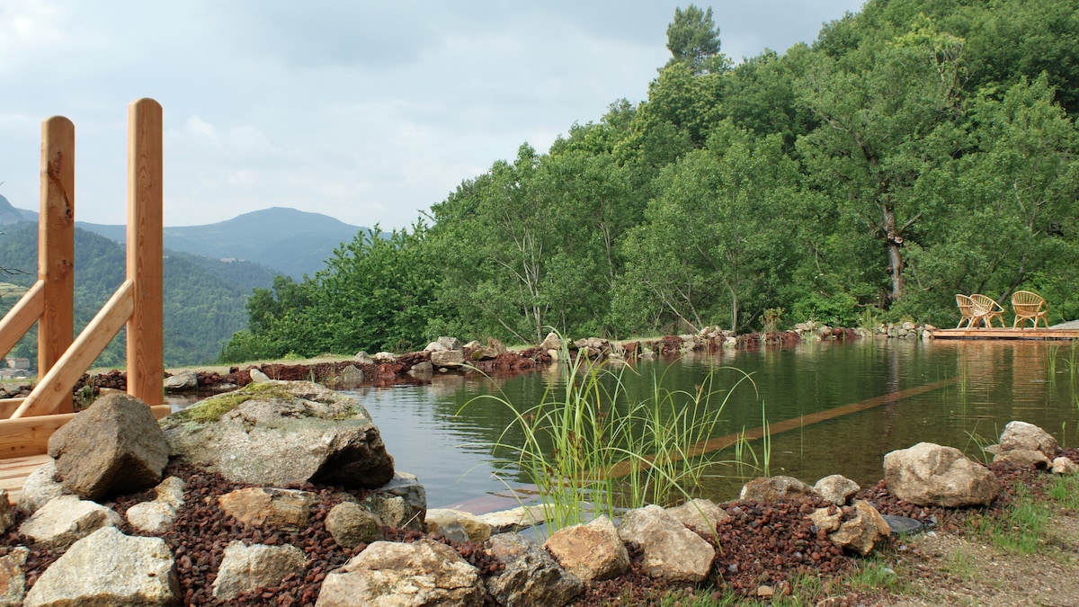 A natural swimming pool is framed by smooth stones and lush greenery, reflecting the surrounding hillside. Wooden loungers are positioned nearby, inviting relaxation in a tranquil outdoor setting. The area is accented by tall grasses emerging along the water's edge, enhancing the connection with nature.