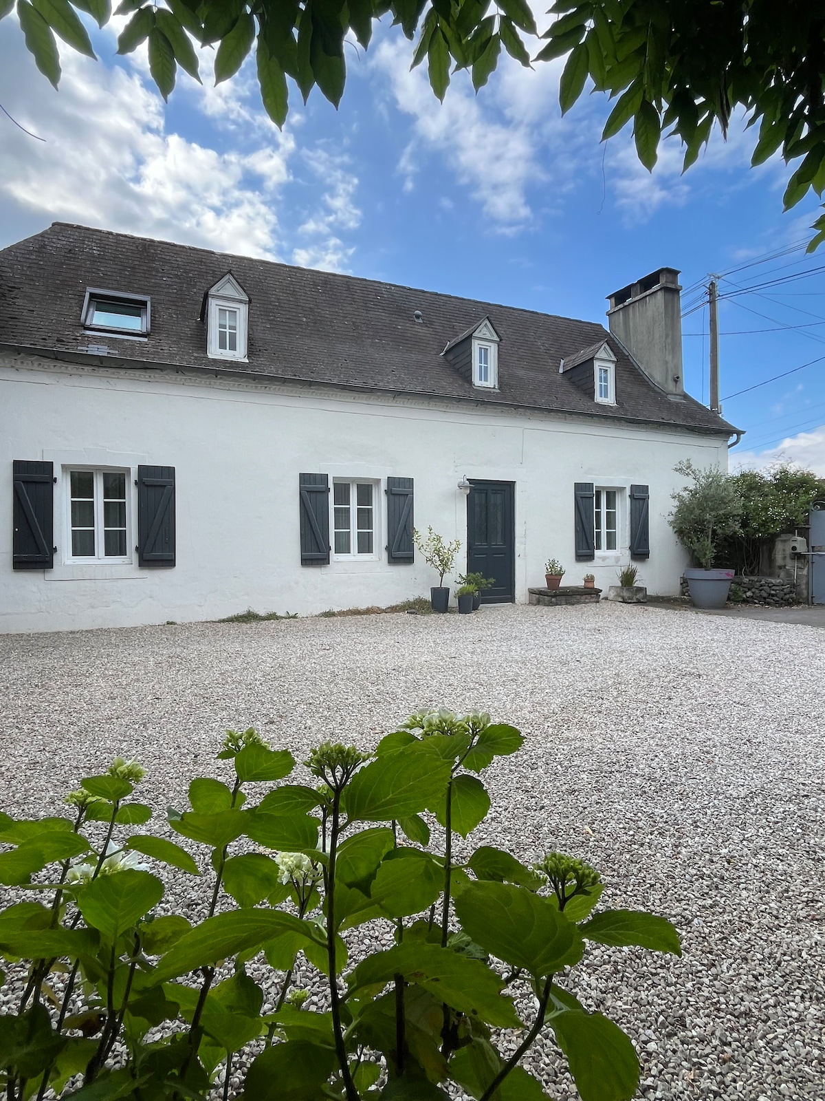 Call girl in Oloron-Sainte-Marie
