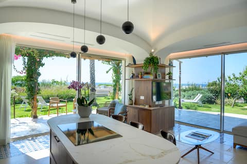 Big Villa on the ocean with infinity pool