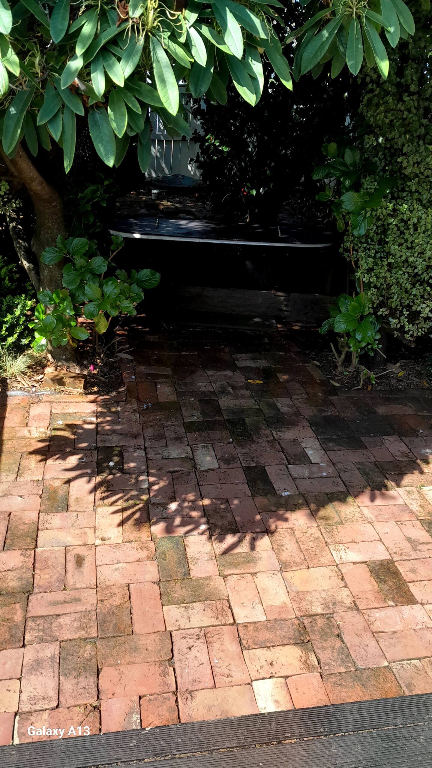 Karamea Nikau Palms  Retreat Cottage 5