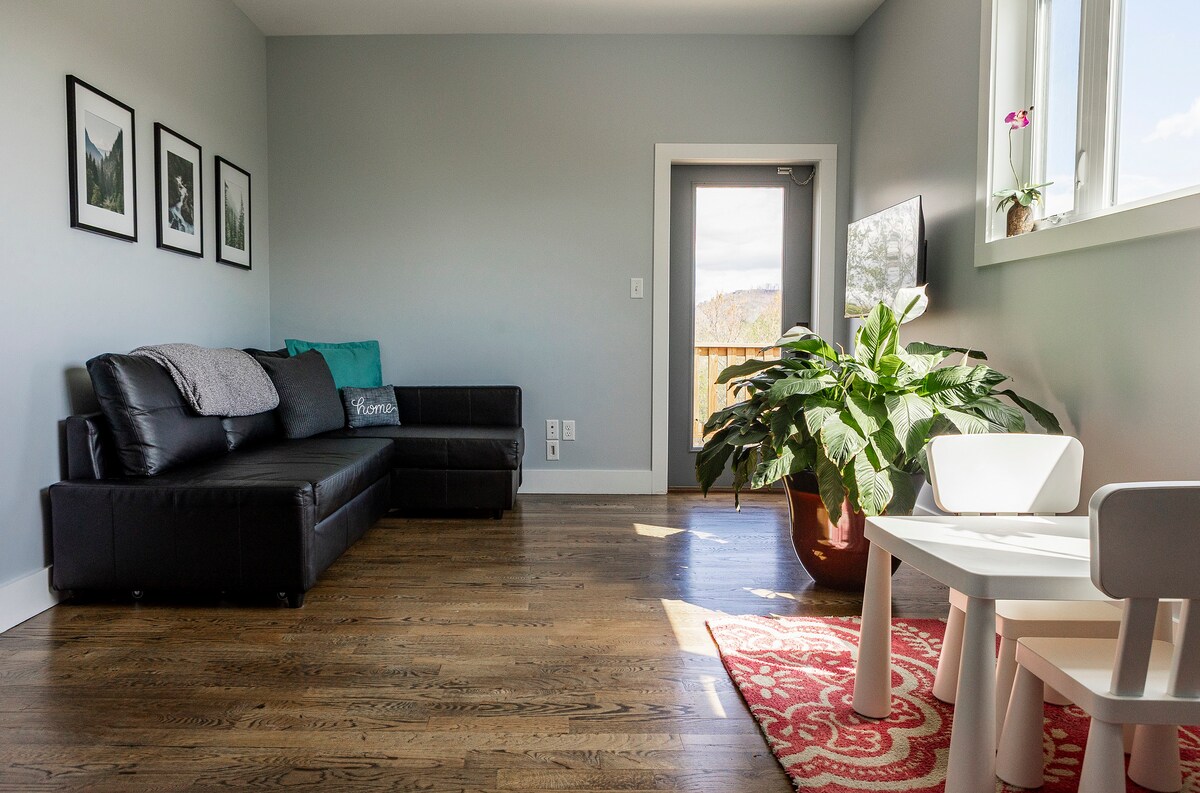 Sofa turns into a sleeper, sheets in compartment
Please note * there are NO CURTAINS in this room