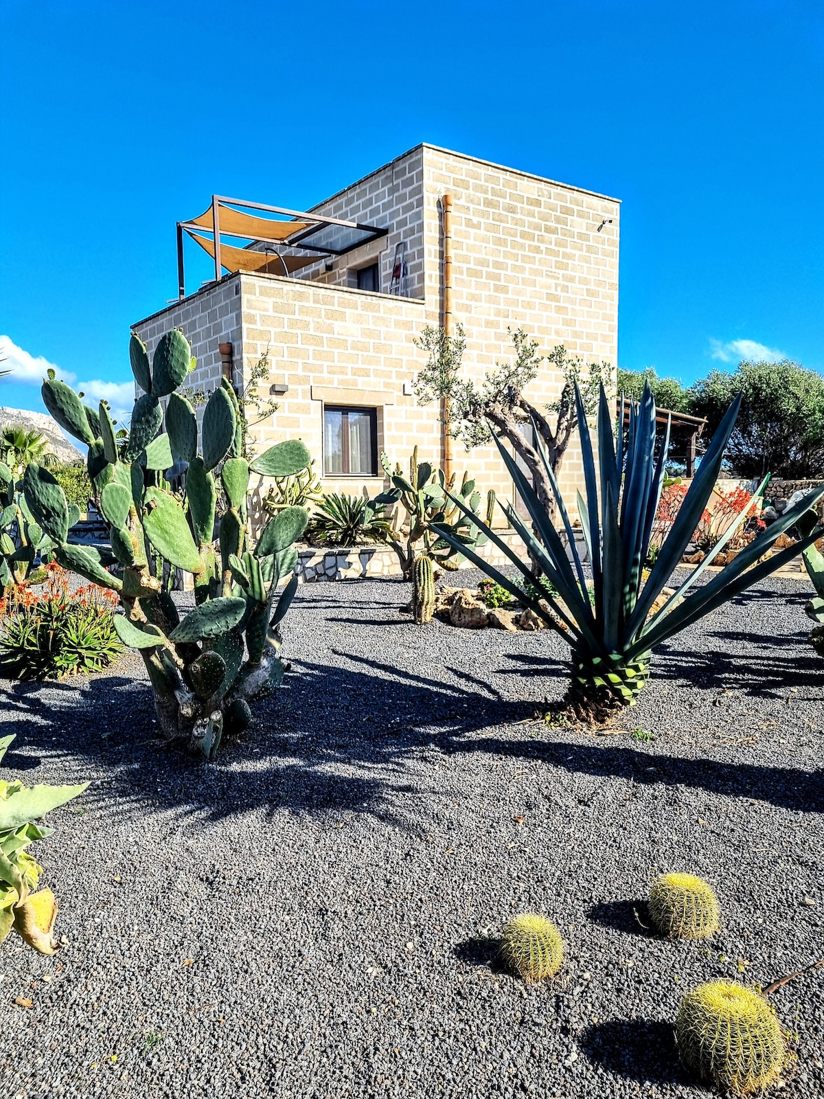 The exterior of the villa features a striking stone facade surrounded by a diverse garden of cacti and succulents. The clear blue sky contrasts with the greenery, creating a serene outdoor space. The upper level includes a shaded terrace, ideal for relaxation.