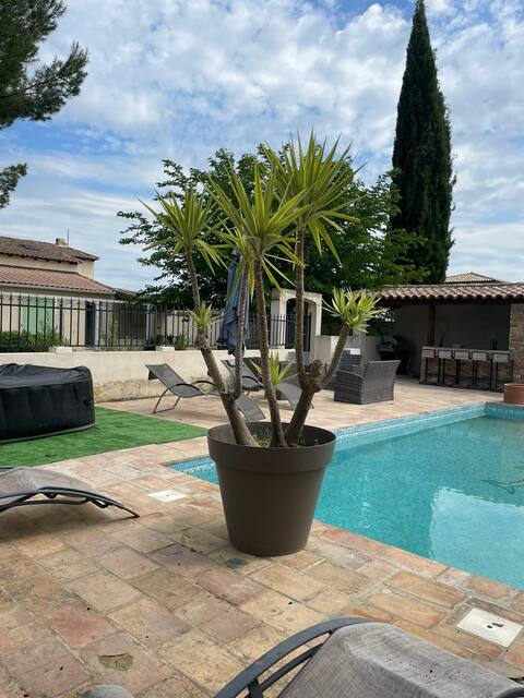 House with pool, jacuzzi, pétanque court