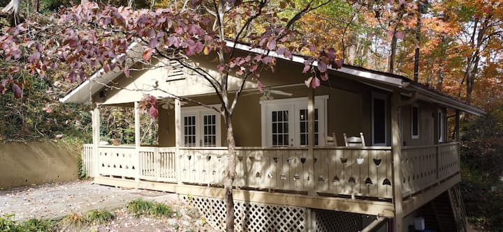 Lucerne Chalet In The Treetops In Dt Avl, Dog Fndy - Asheville, NC