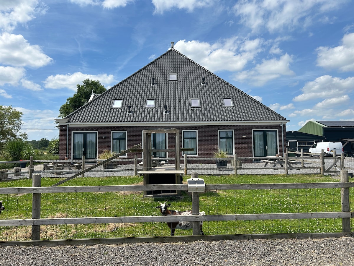 The exterior of a traditional Dutch Stolp farmhouse is shown, featuring a sloped roof and multiple windows. A grassy area is visible in front, framed by a wooden fence. A goat grazes nearby, with the farm's facilities and open sky in the background.