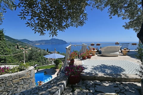 Sea South front property1/2acre.Gardens pool hydro