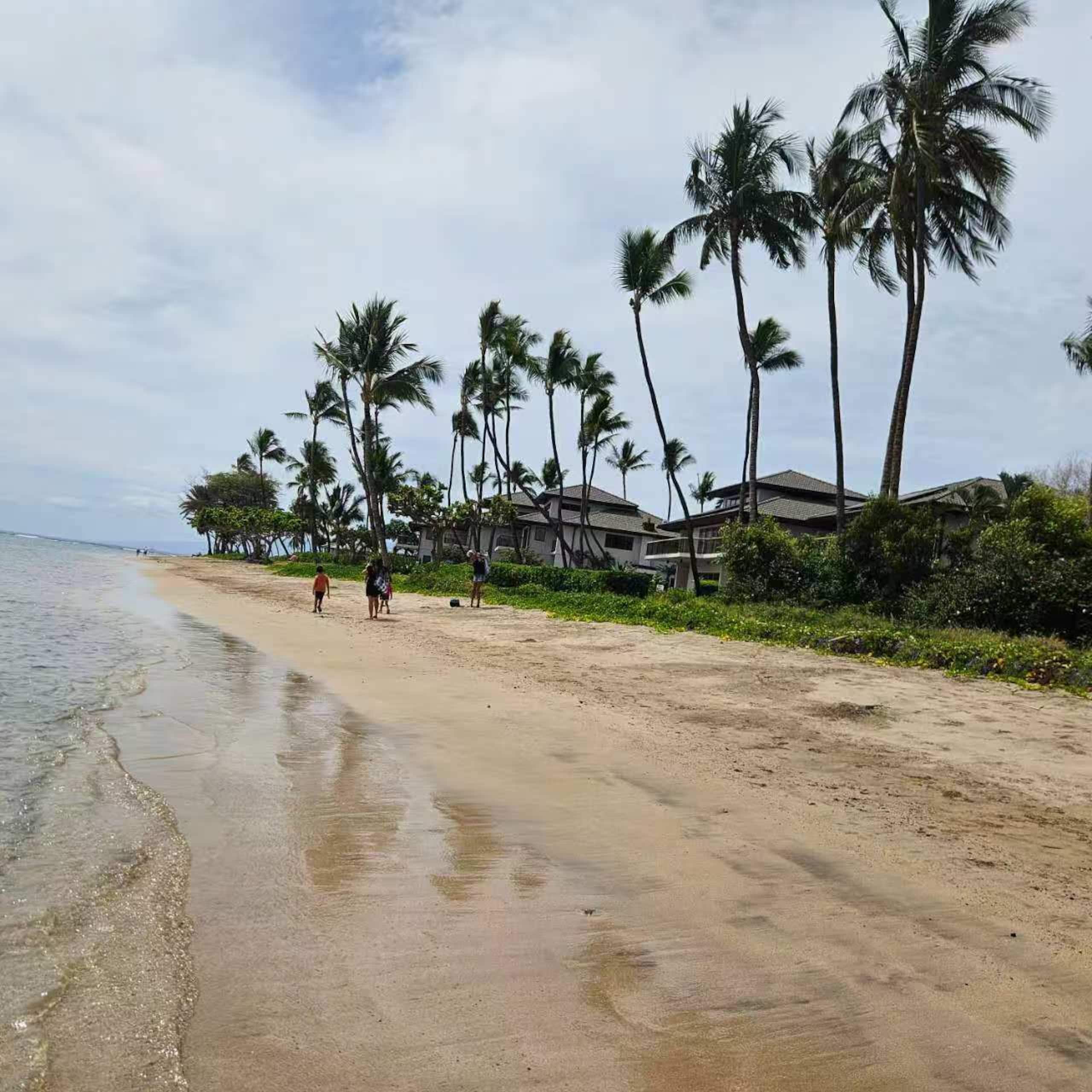 Condo in Lahaina · ★4.96 · 1 bedroom · 2 beds · 1 bath - Image 37