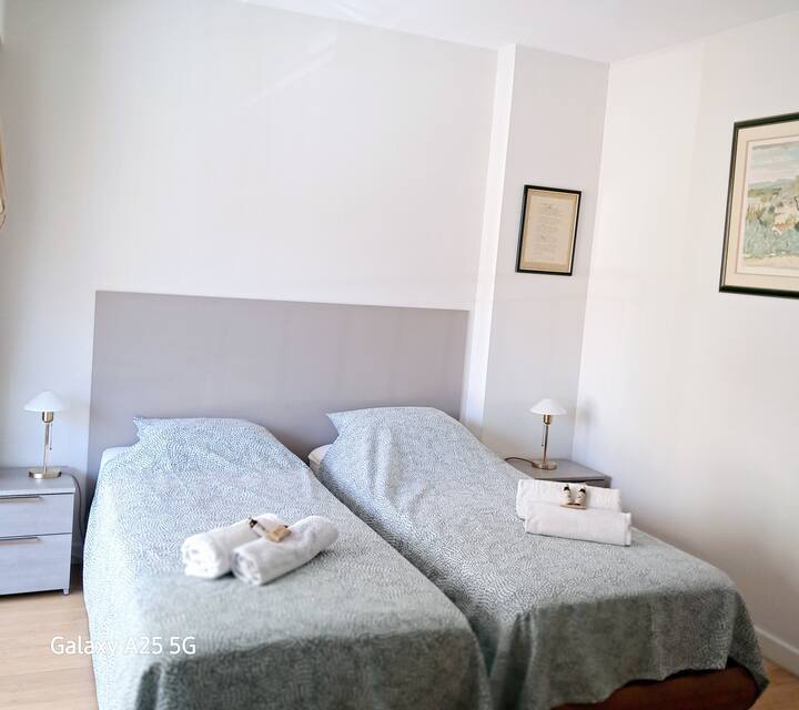 Habitación con aire acondicionado que ofrece 2 camas individuales muy cómodas , que se pueden juntar en cama doble  que ofrece acceso a su baño con  
vistas a la terraza
