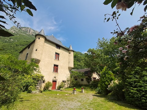 Manor House in the Pyrénées