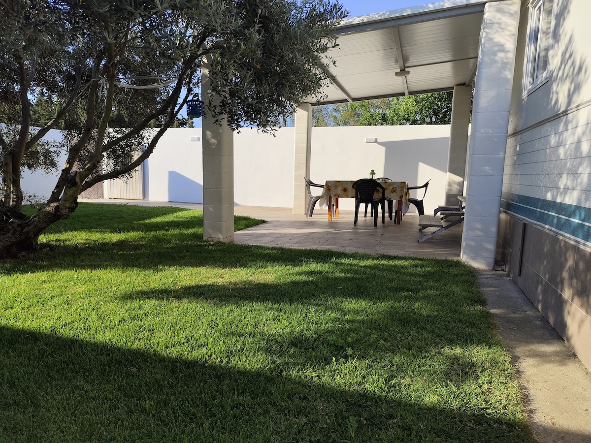 A covered patio area is visible, furnished with a dining table and chairs, set against a backdrop of well-maintained grass. Olive trees provide shade, while a white wall creates a sense of privacy. The space presents an inviting environment for outdoor gatherings.