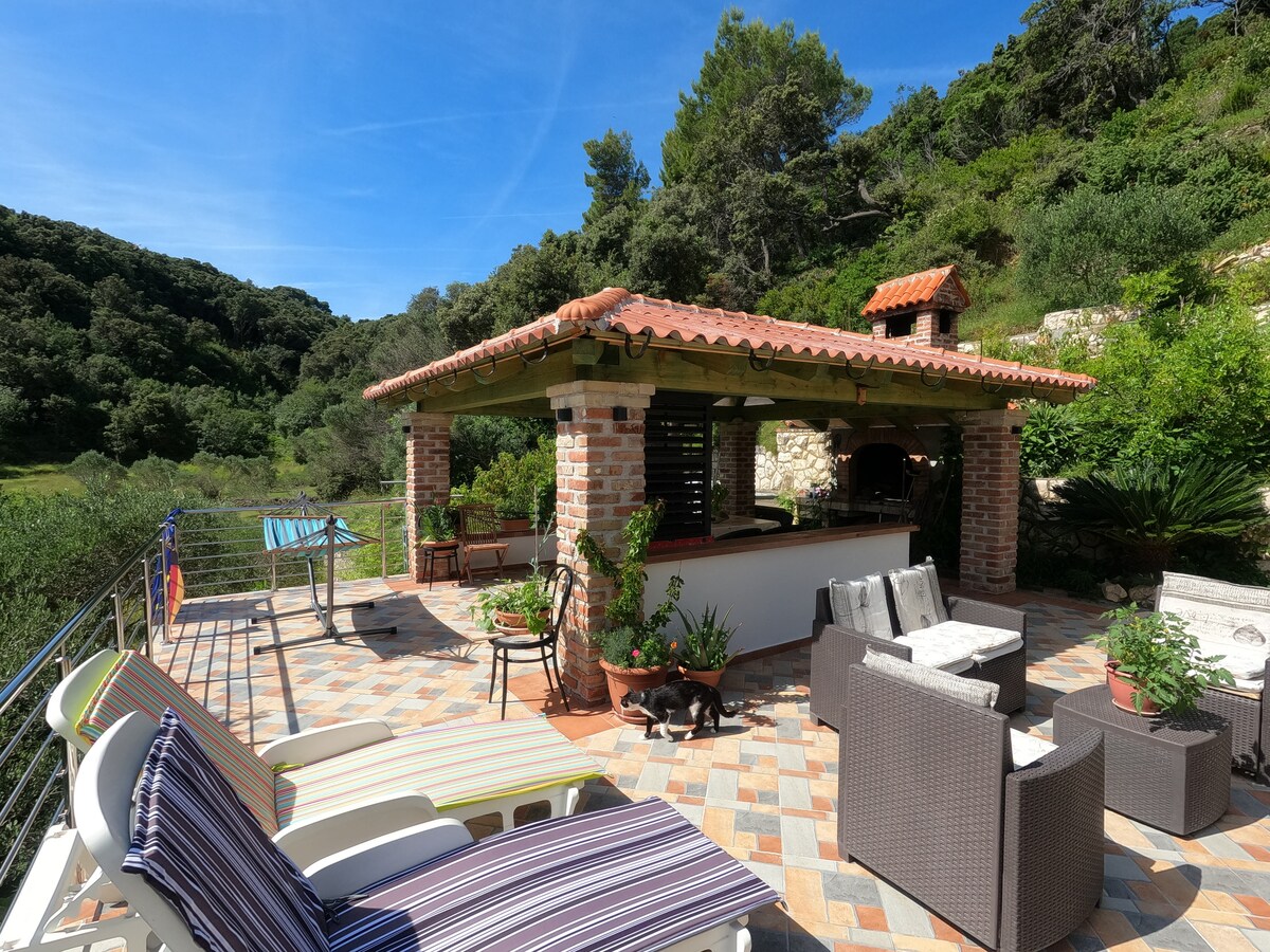 An outdoor patio area features colorful lounge chairs and wicker seating arrangements, surrounded by greenery. A brick-covered outdoor kitchen is visible, complemented by potted plants. Sunlight illuminates the space, enhancing the setting's natural beauty and inviting relaxation.
