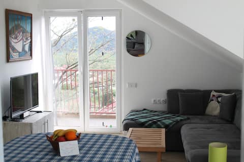 two bedroom apartment