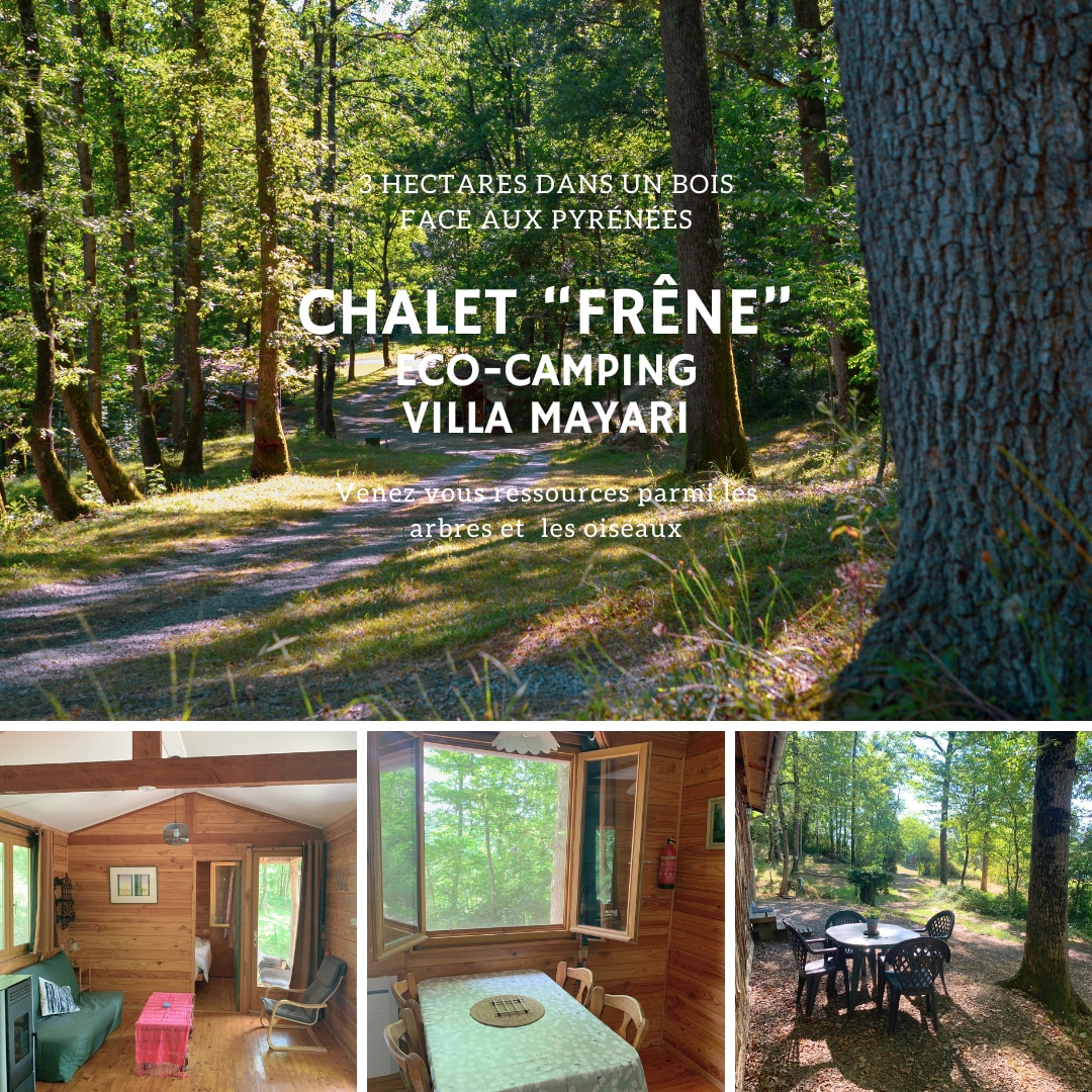 A serene forest path leads through a sunlit wood, promoting a peaceful atmosphere. The image features the wooden chalet, blending harmoniously with its surroundings, and an outdoor seating area with a table and chairs for enjoying the natural landscape.