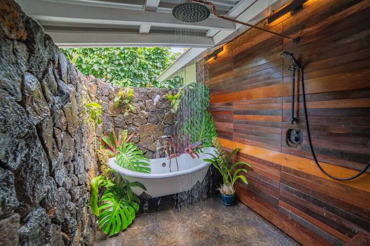 Hanalei Getaway~Walk to Hanalei Bay/town. TVNC1109 gallery image 4