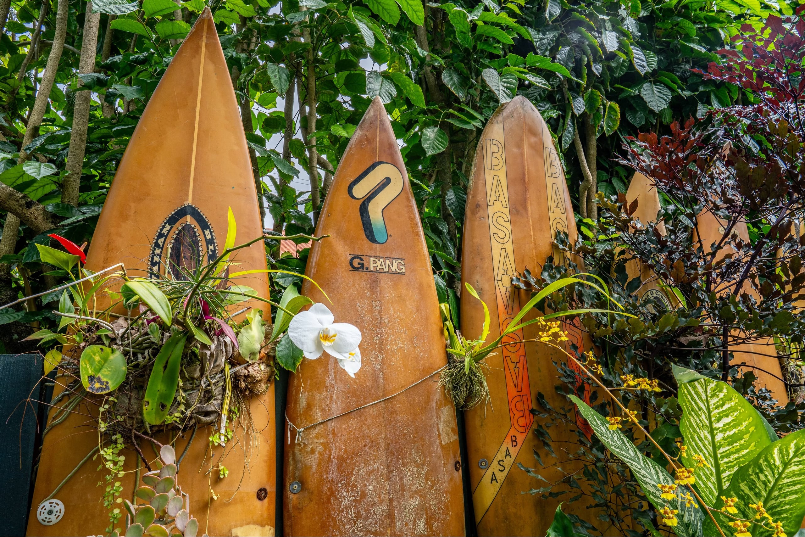 Home in Hanalei · ★4.97 · 3 bedrooms · 5 beds · 3 baths - Image 42