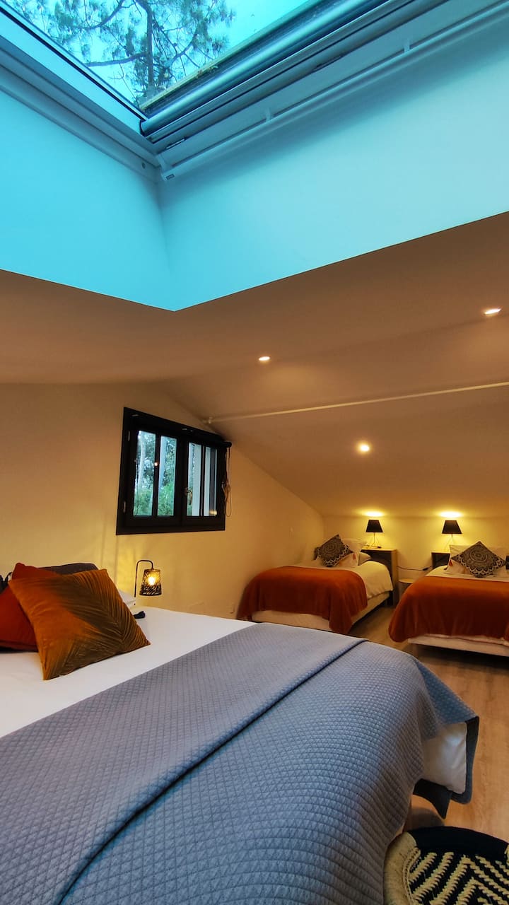 Chambre 3