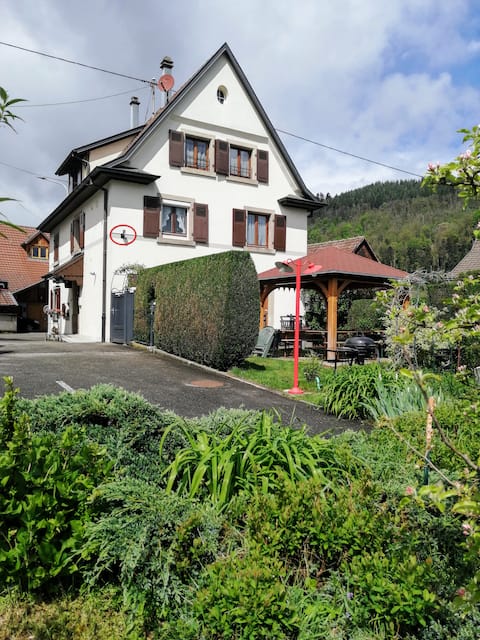 At Schneiget, large house 11 pers (babies included)