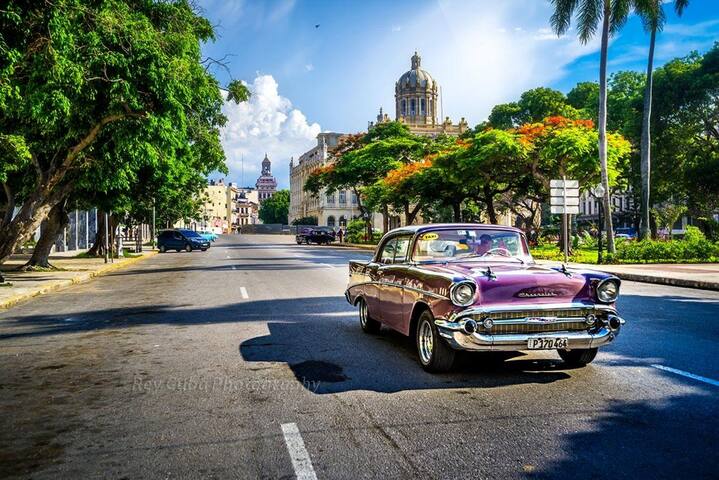 Jose Antonio managed Airbnb listing 1