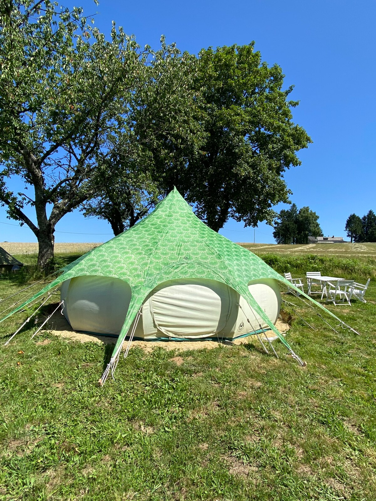 A spacious tent with a vibrant green exterior is nestled among trees on a grassy area. Sunlight casts a bright glow on the tent, highlighting its unique shape and design. White chairs are arranged nearby, offering a seating area in the peaceful outdoor environment.