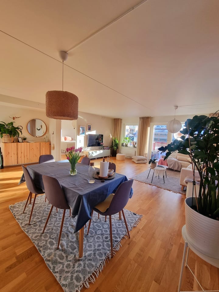 Central 80m2 Lgh,15 Min Cykelväg Till Liseberg - Göteborg
