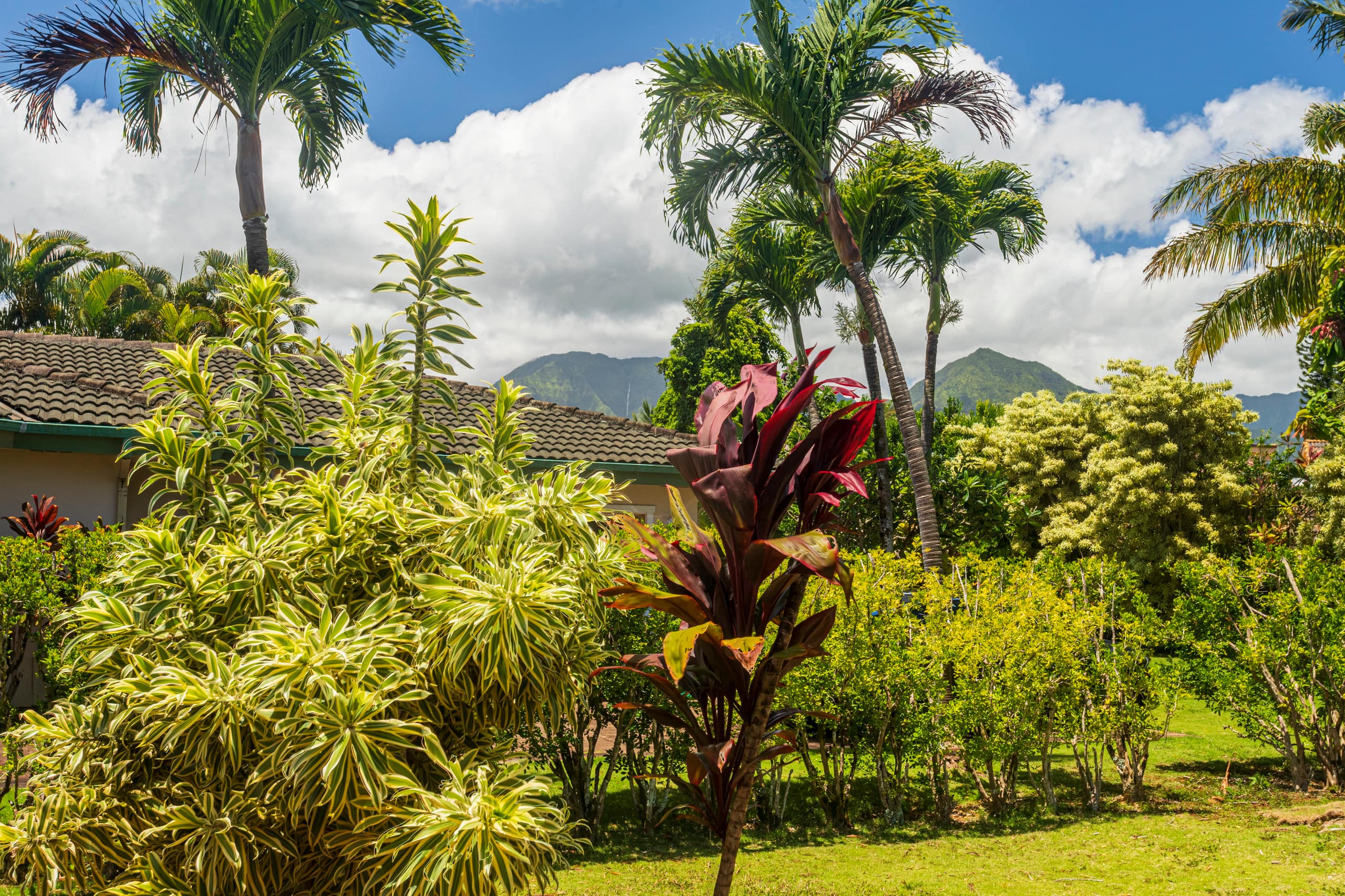Private, 2 bdr Hawaiiana Charmer ~ Bonus Room avl - Image 30