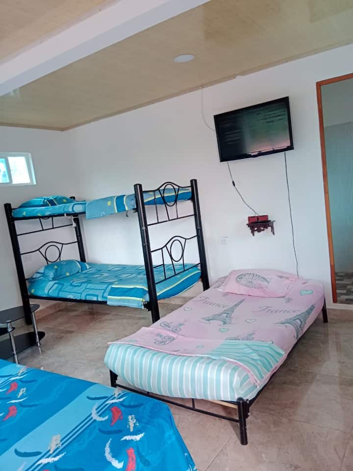 Habitación 1