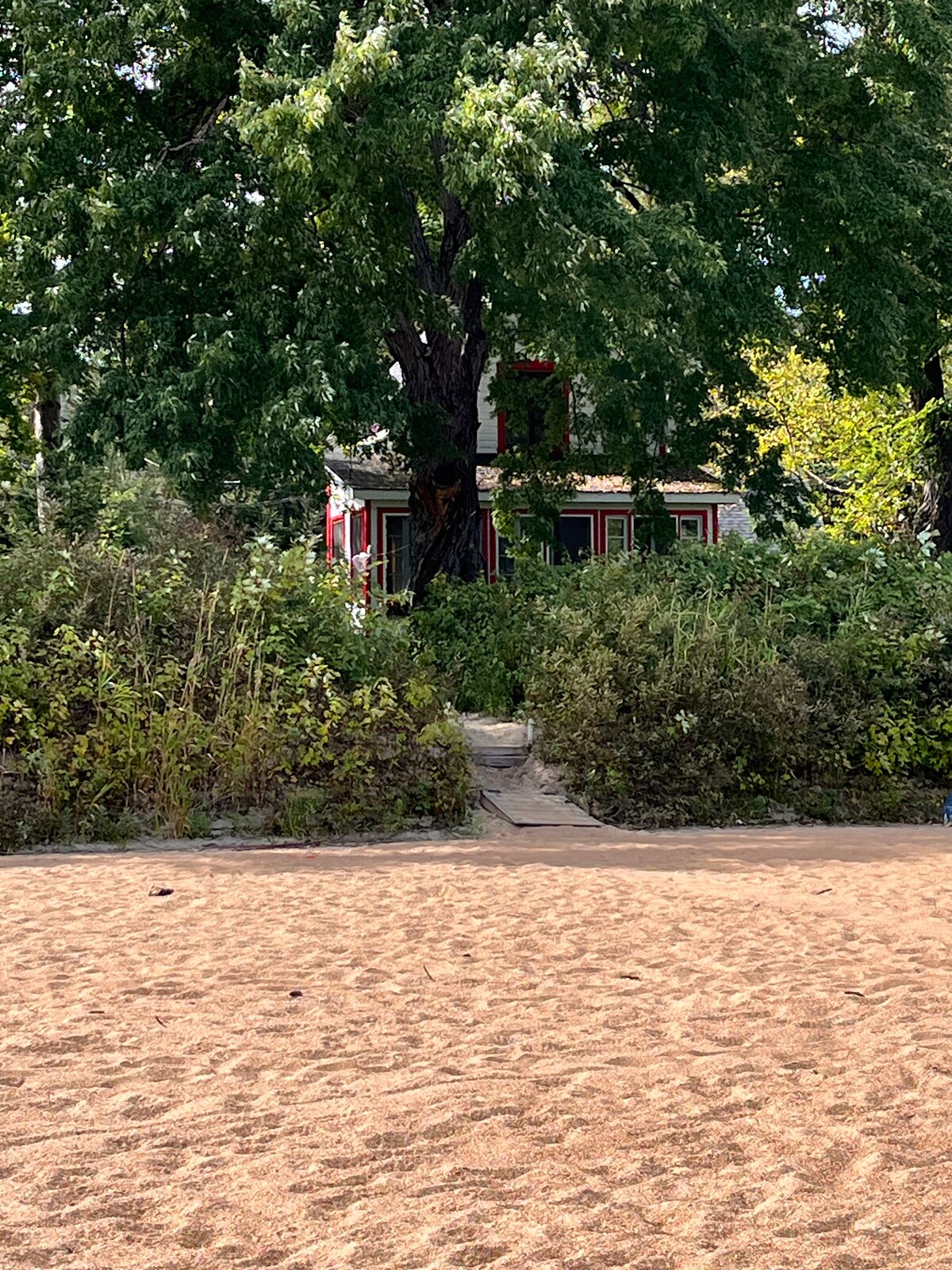 The chalet is nestled among lush greenery, visible through a sandy beach. A pathway leads to the entrance, framed by tall trees providing shade. The structure features a charming facade with red accents, enhancing its cozy appearance within the natural surroundings.
