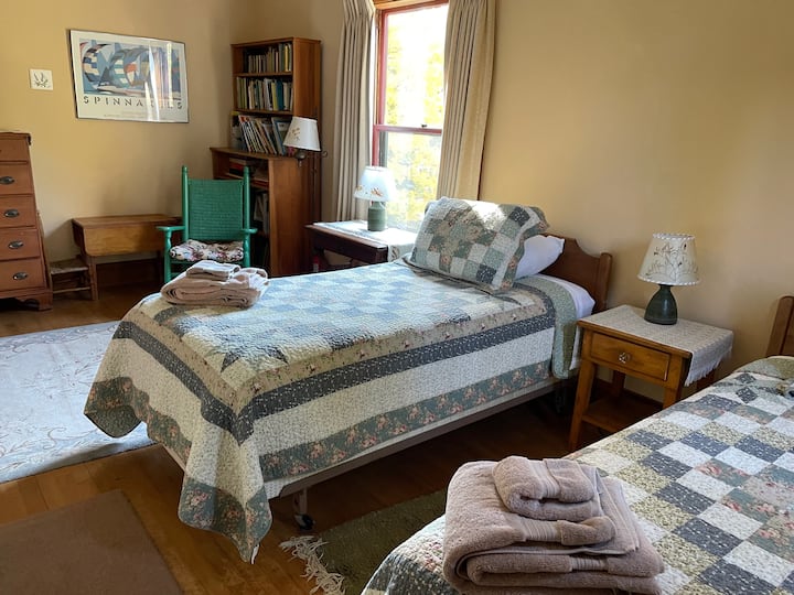 Enchanting twin retreat with books, toys, and imagination