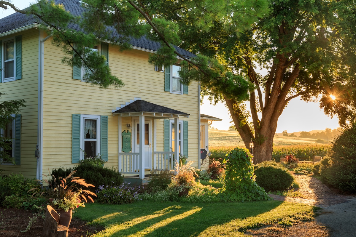 The exterior of a two-story yellow farmhouse is featured, surrounded by lush greenery and colorful landscaping. A porch with white railings welcomes guests, and large trees provide shade. Soft sunlight filters through the branches, illuminating the scene and highlighting nearby fields.