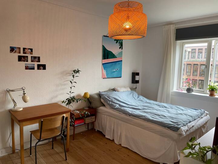 Легло тип Куин. 