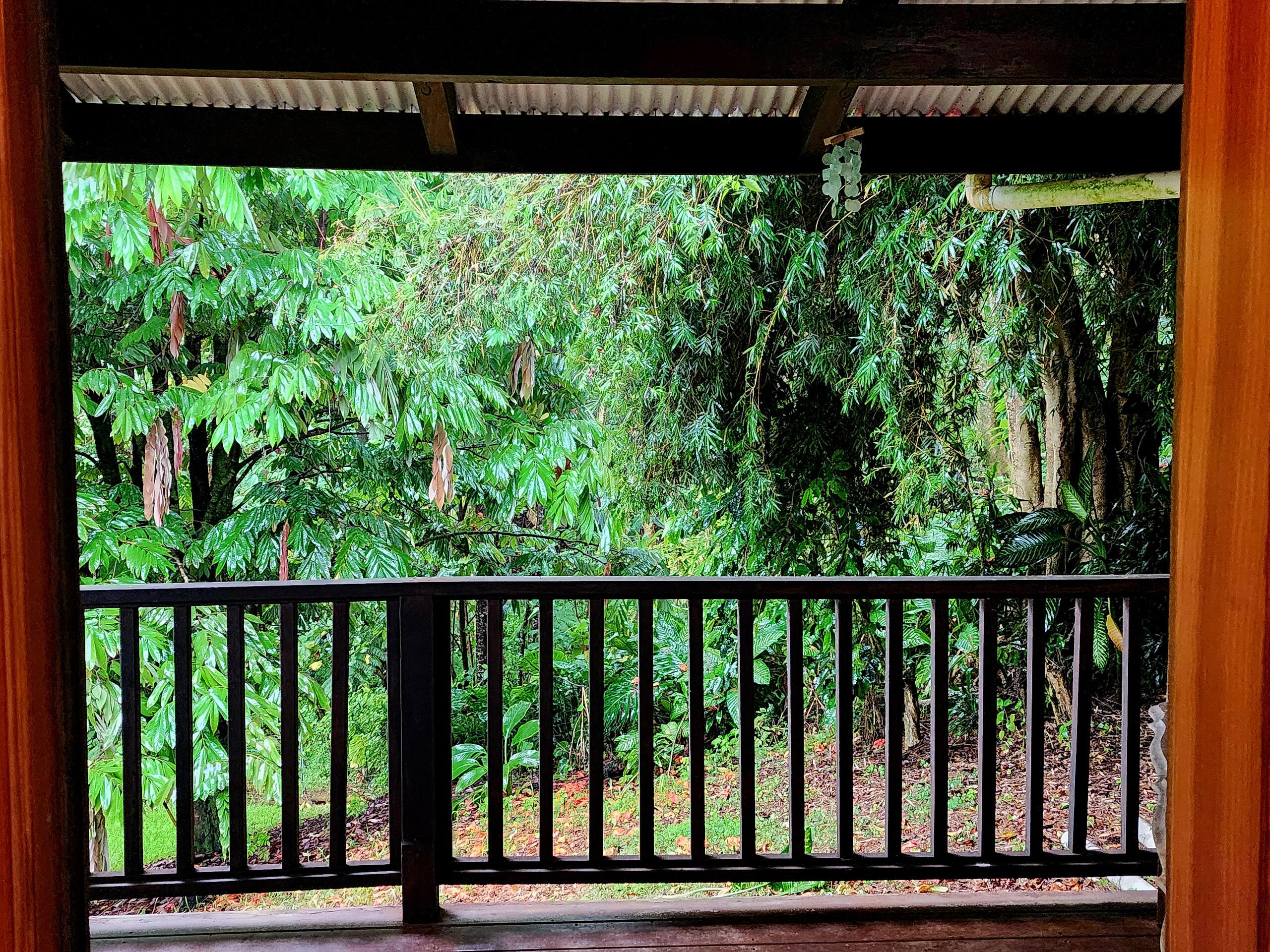 Zen Treehouse Private Retreat & Farm Stay - Image 31