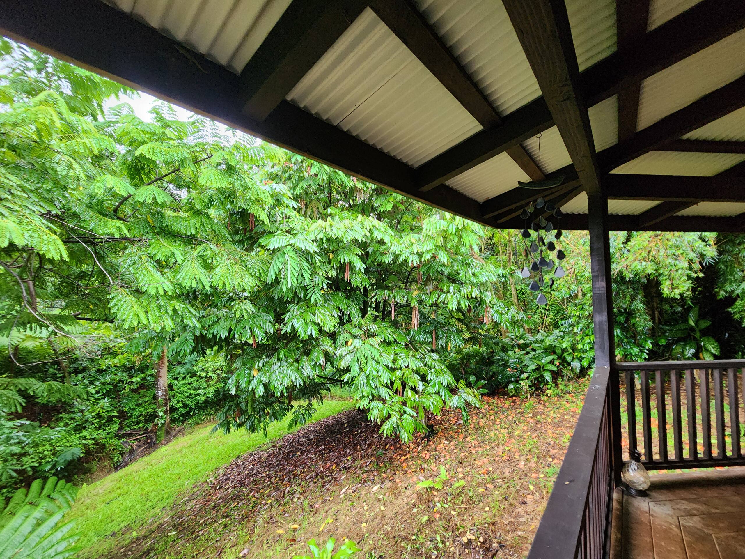 Zen Treehouse Private Retreat & Farm Stay - Image 25