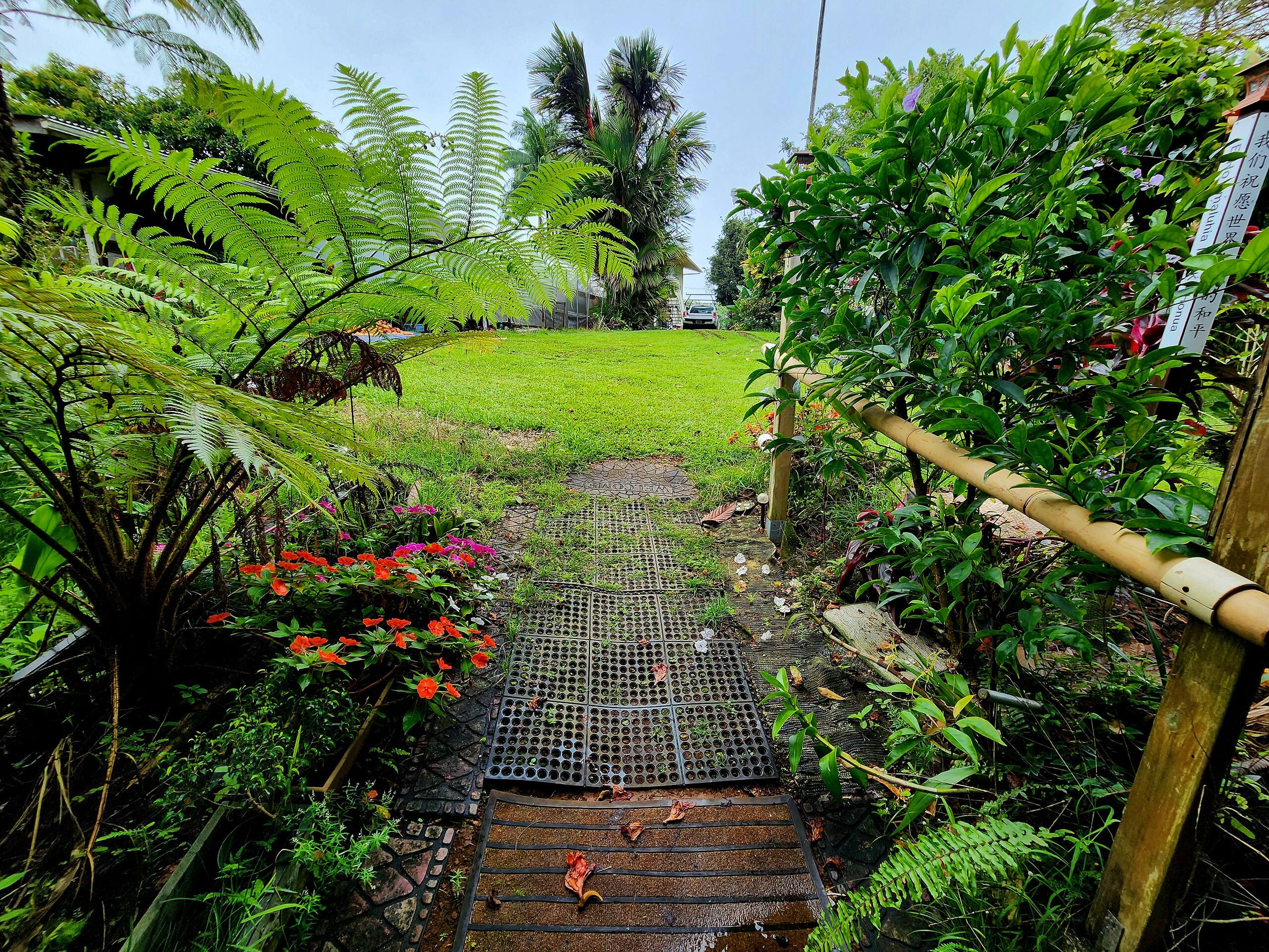 Zen Treehouse Private Retreat & Farm Stay - Image 4