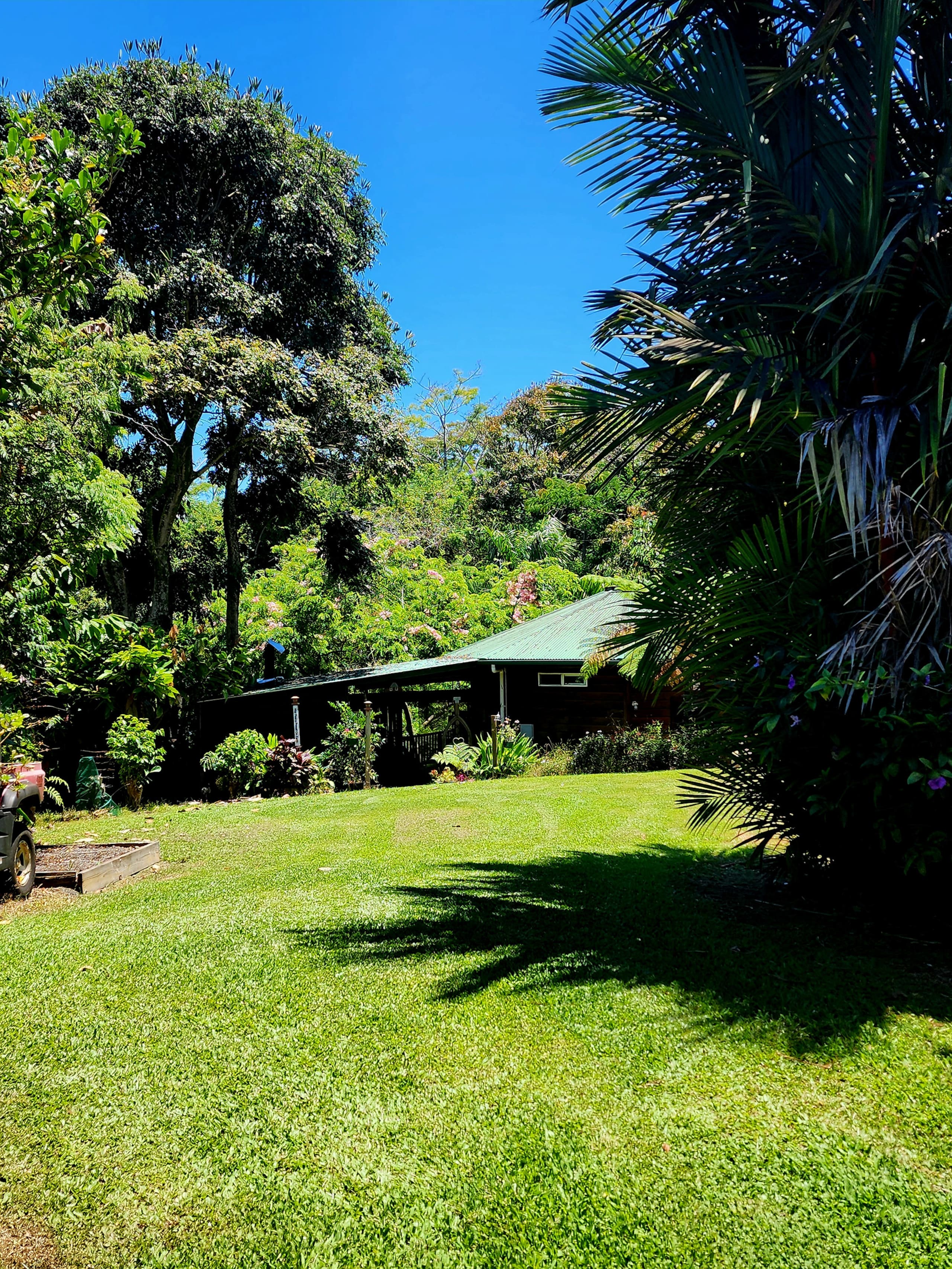 Zen Treehouse Private Retreat & Farm Stay - Image 2