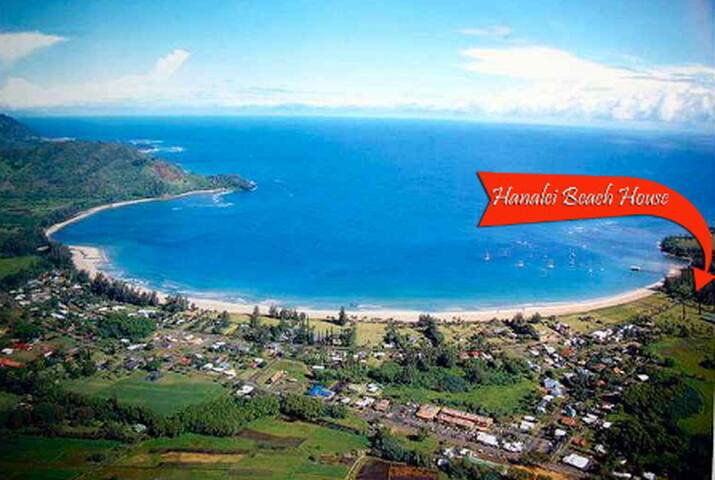 Ocean Front: Steps to Beach TVNC#5087 gallery image 4