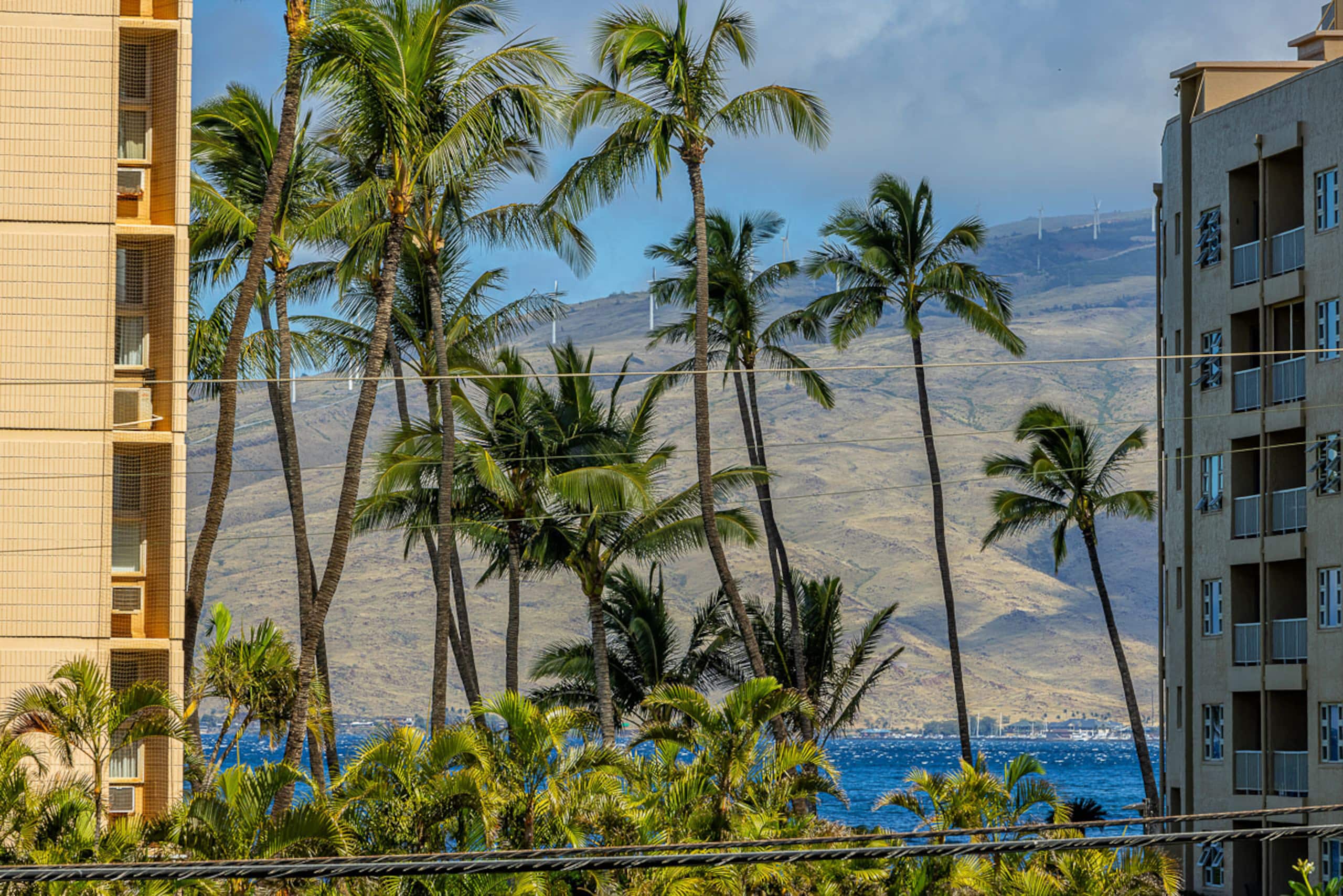 Condo in Kihei · ★4.67 · 3 bedrooms · 5 beds · 2 shared baths - Image 7