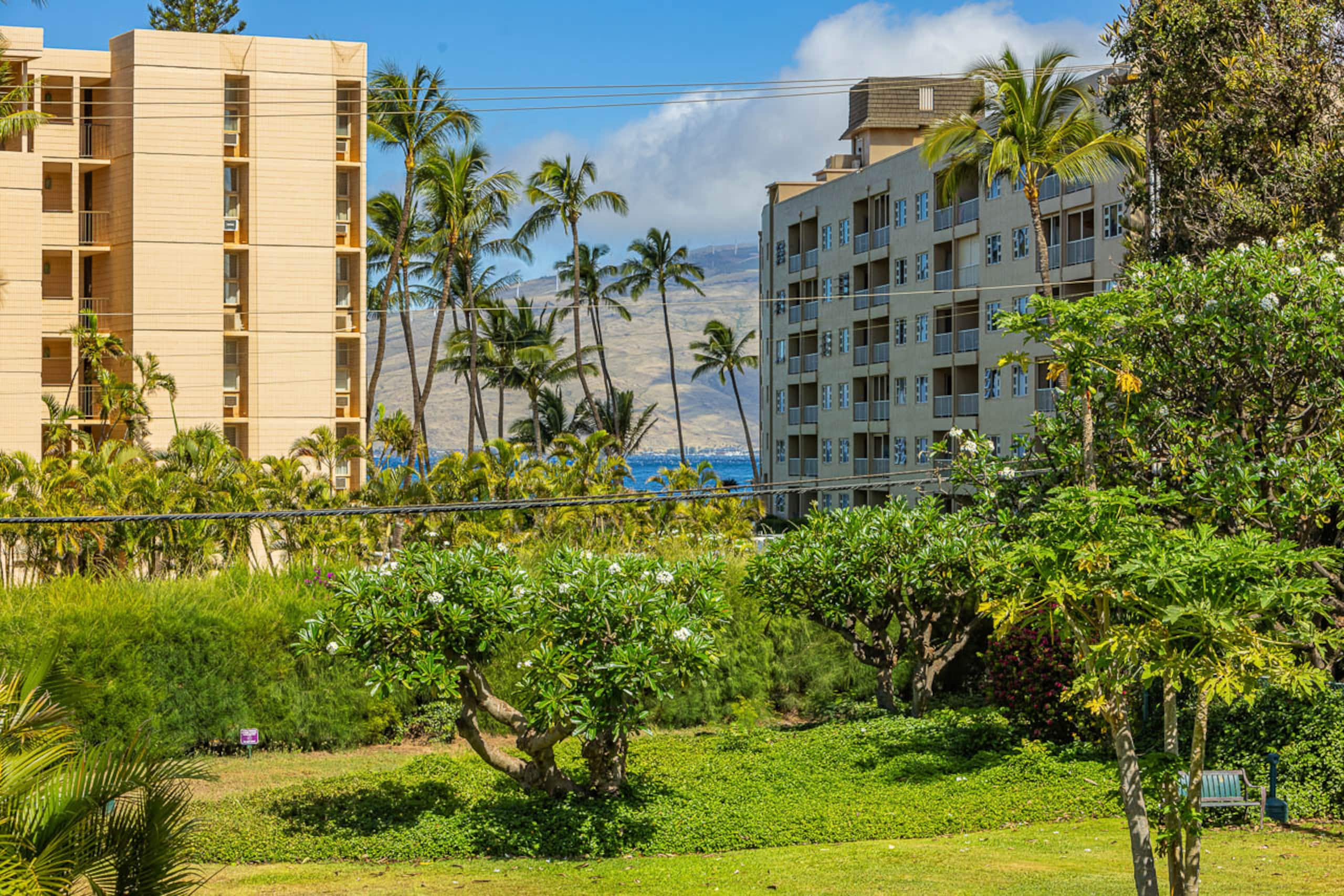 Condo in Kihei · ★4.67 · 3 bedrooms · 5 beds · 2 shared baths - Image 8