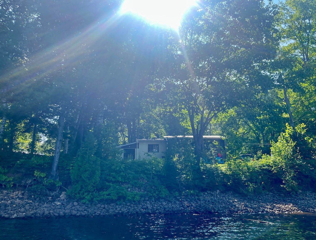 A cabin is nestled among trees along the riverbank, viewed from the water. Sunlight filters through the leaves, creating a soft glow on the cabin’s exterior. The surrounding environment features lush greenery and pebbled shore, emphasizing a peaceful natural setting.