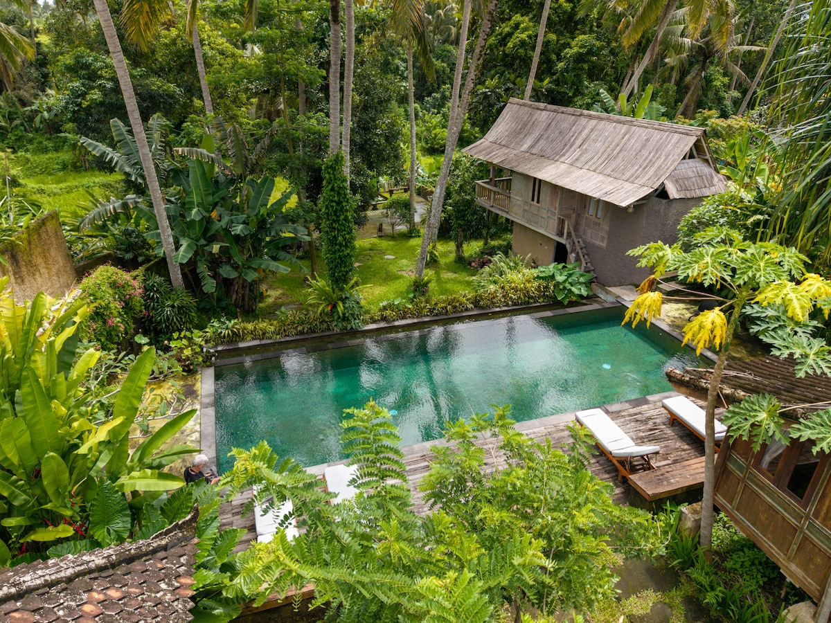 Ubud Nature eco lodge holiday rentals - Bali, Indonesia | Airbnb