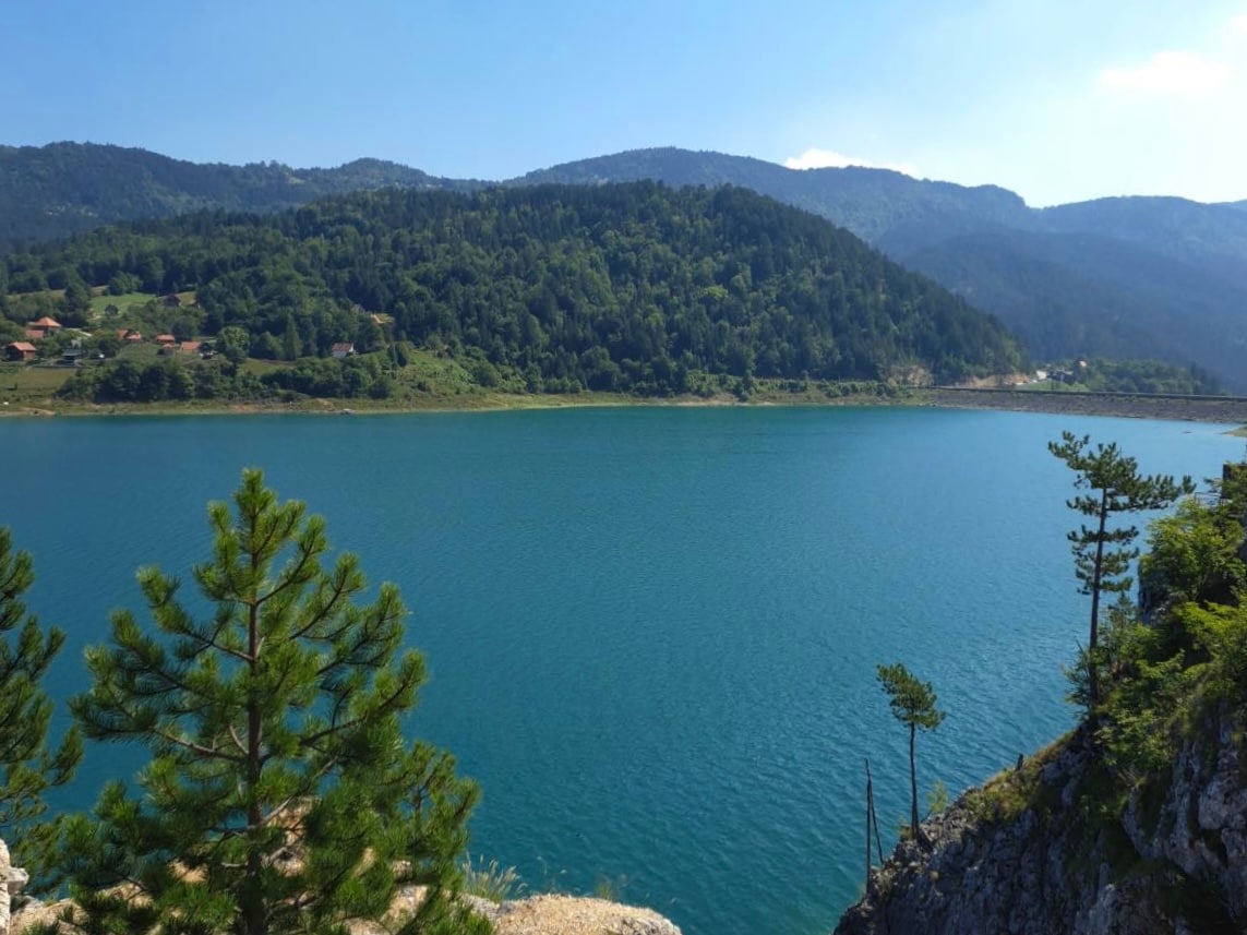 A serene view of Zaovine Lake is presented, surrounded by lush green hills under a clear blue sky. The water exhibits a vibrant turquoise hue, reflecting the natural landscape. Pine trees are seen framing the foreground, enhancing the peaceful ambiance of the setting.