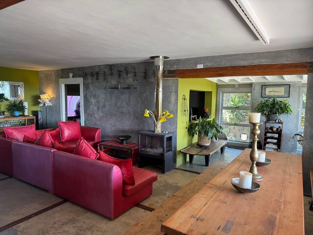 Flamingo House full home rental gallery image 4