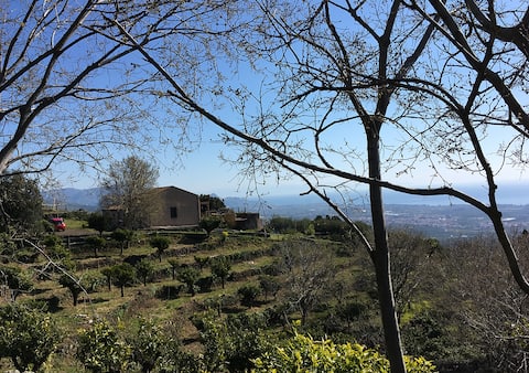 Eco Farm Villa on the Etna, Holiday and Smart-Work